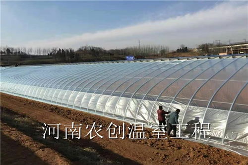 汽车拍摄大棚价格多少 汽车拍摄大棚价格多少