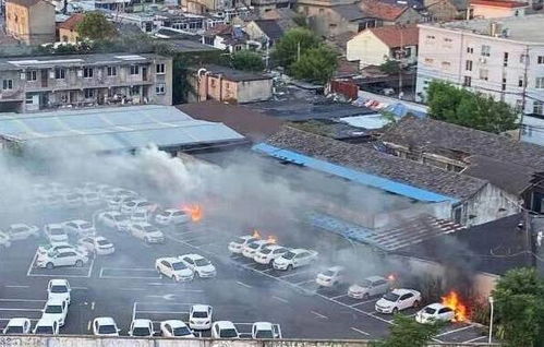 比亚迪烧了多少台汽车 比亚迪烧了多少台汽车