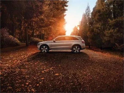 油混汽车时速多少 油混汽车时速多少