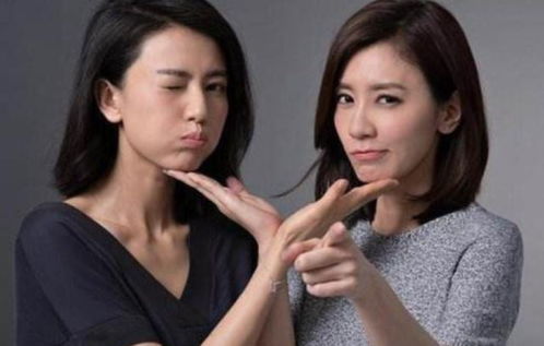 高圆圆称90%的社交对她都是消耗