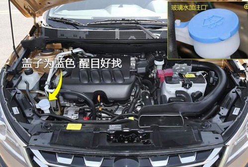 汽车水要加到多少 汽车水要加到多少