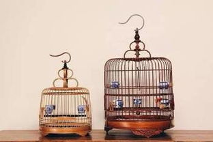 汽车鸟笼多少钱 汽车鸟笼多少钱