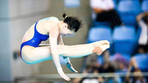 陈芋汐与新搭档掌敏洁10米台夺冠 陈芋汐与新搭档掌敏洁10米台夺冠