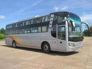 嘉兴到淮阳汽车多少 嘉兴到淮阳汽车多少