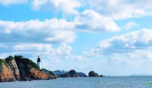 海岛有多少种汽车 海岛有多少种汽车