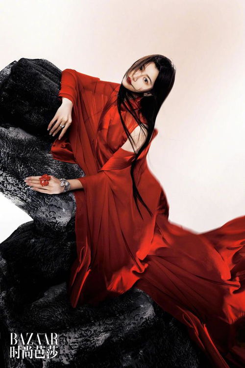 芭莎镜头签好歹毒 芭莎镜头签好歹毒