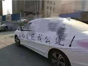 济南汽车试乘试驾价格多少