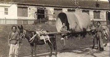 晚清的汽车有多少 晚清的汽车有多少