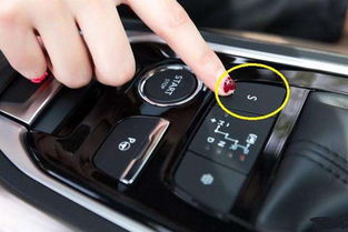 汽车分多少种档位