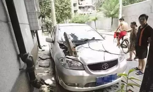 汽车可以放多少花盆 汽车可以放多少花盆