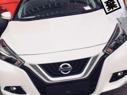 蓝鸟汽车高度多少米 蓝鸟汽车高度多少米