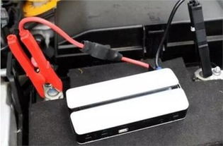 汽车电瓶接口有多少 汽车电瓶接口有多少