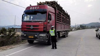 保管汽车多少钱 保管汽车多少钱