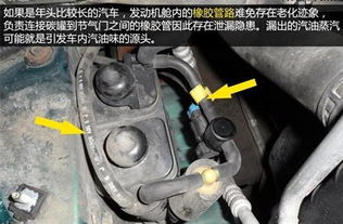 汽车有多少种油管 汽车有多少种油管