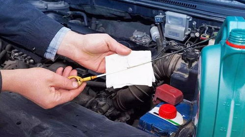 怎么判断汽车多少油