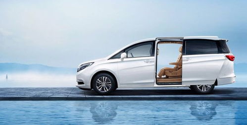 汽车分为多少种车型