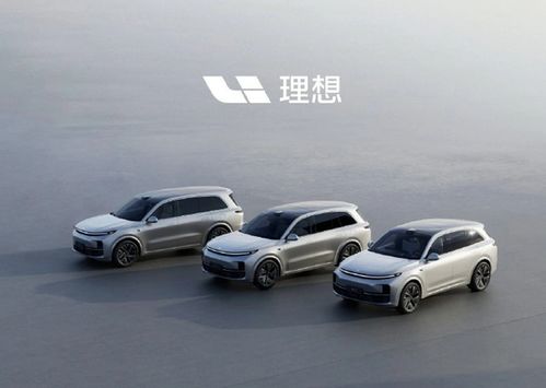 理想汽车股票融资多少 理想汽车股票融资多少