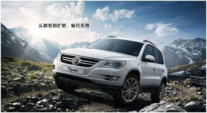 汽车用柴油多少号 汽车用柴油多少号