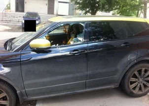 汽车油漆用多少目