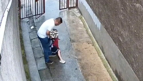 疑被蛇咬伤身亡女子是独生女 疑被蛇咬伤身亡女子是独生女