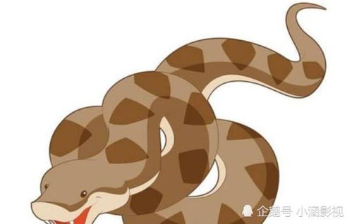 专家提醒被蛇咬后这九大土方法危险 专家提醒被蛇咬后这九大土方法危险