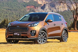 汽车foro多少钱 汽车foro多少钱