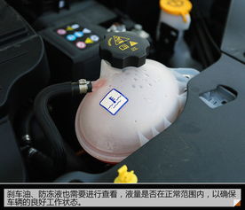 汽车自检有多少项目 汽车自检有多少项目