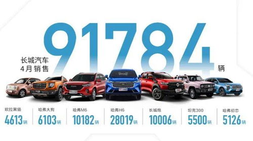 大金环汽车多少线