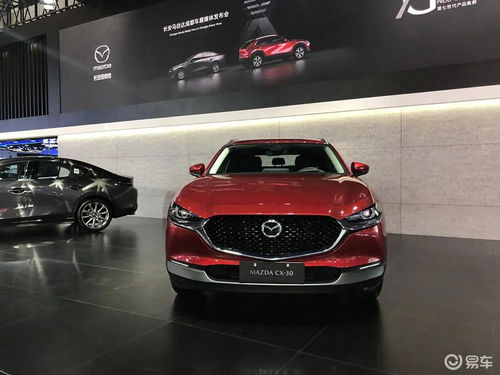 汽车马多少钱 汽车马多少钱