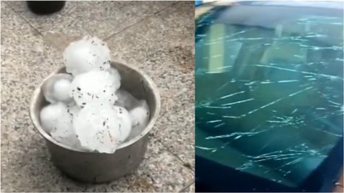 汽车瓦片分为多少种