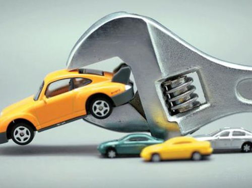 望远汽车维护多少费用