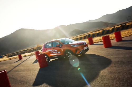 wiki汽车价格多少 wiki汽车价格多少