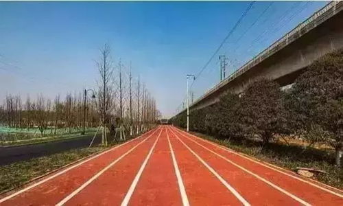 汽车双层跑道多少米