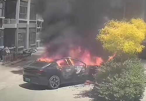 哪吒汽车自燃多少起 哪吒汽车自燃多少起