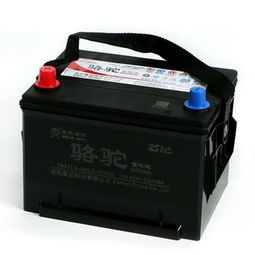 骆驼汽车电池多少v 骆驼汽车电池多少v