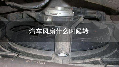 汽车风扇有多少转 汽车风扇有多少转