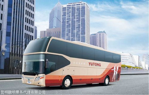 巴士车上有多少汽车 巴士车上有多少汽车