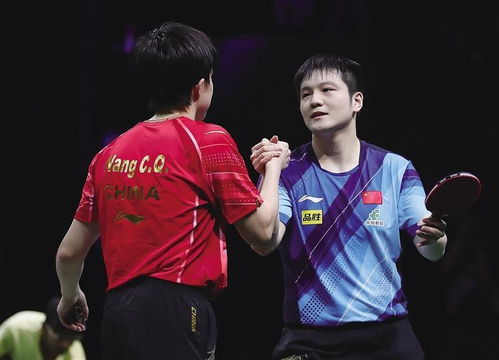 樊振东王楚钦赛后笑着击掌致意