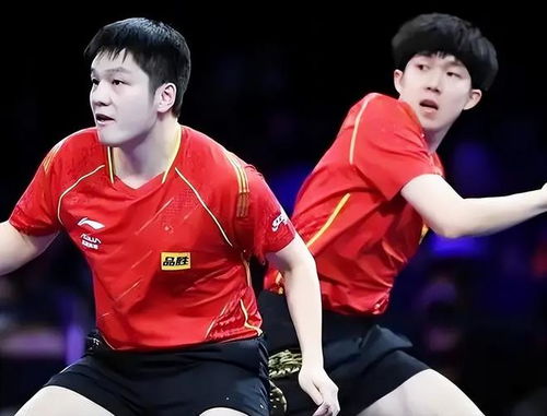 樊振东王楚钦赛后笑着击掌致意