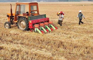 种粮大户的“丰收密码” 种粮大户的“丰收密码”