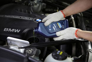 汽车机油保养价格多少