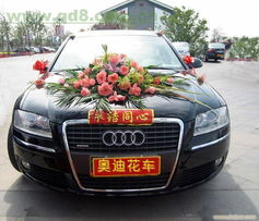 探亲汽车多少钱