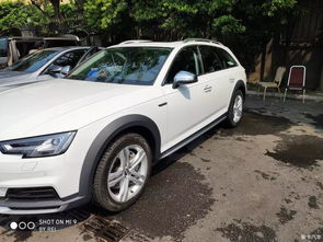 汽车银耳多少钱 汽车银耳多少钱