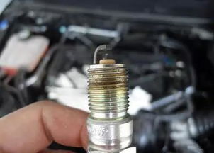 汽车油泵压力在多少