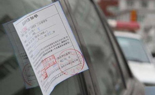 怎么处理汽车罚款多少 怎么处理汽车罚款多少