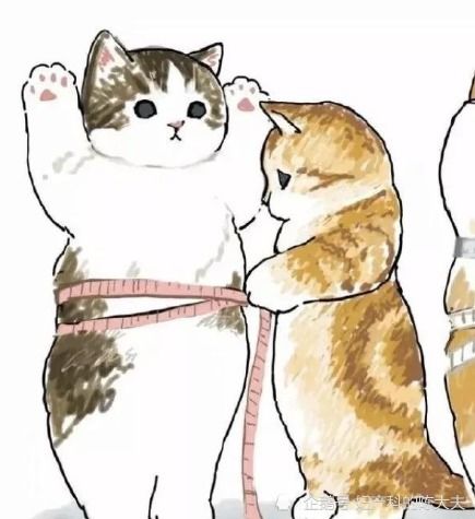 摩卡汽车称重多少斤