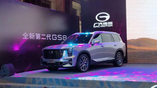 汽车侧门格栅尺寸多少 汽车侧门格栅尺寸多少