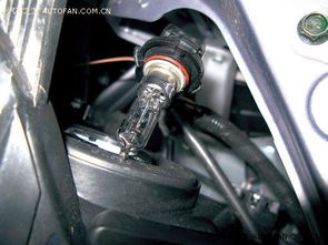 汽车大灯泡多少k 汽车大灯泡多少k