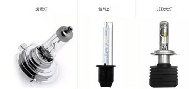 汽车的灯泡多少伏