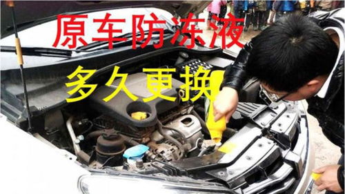 汽车需要多少冷凝液 汽车需要多少冷凝液